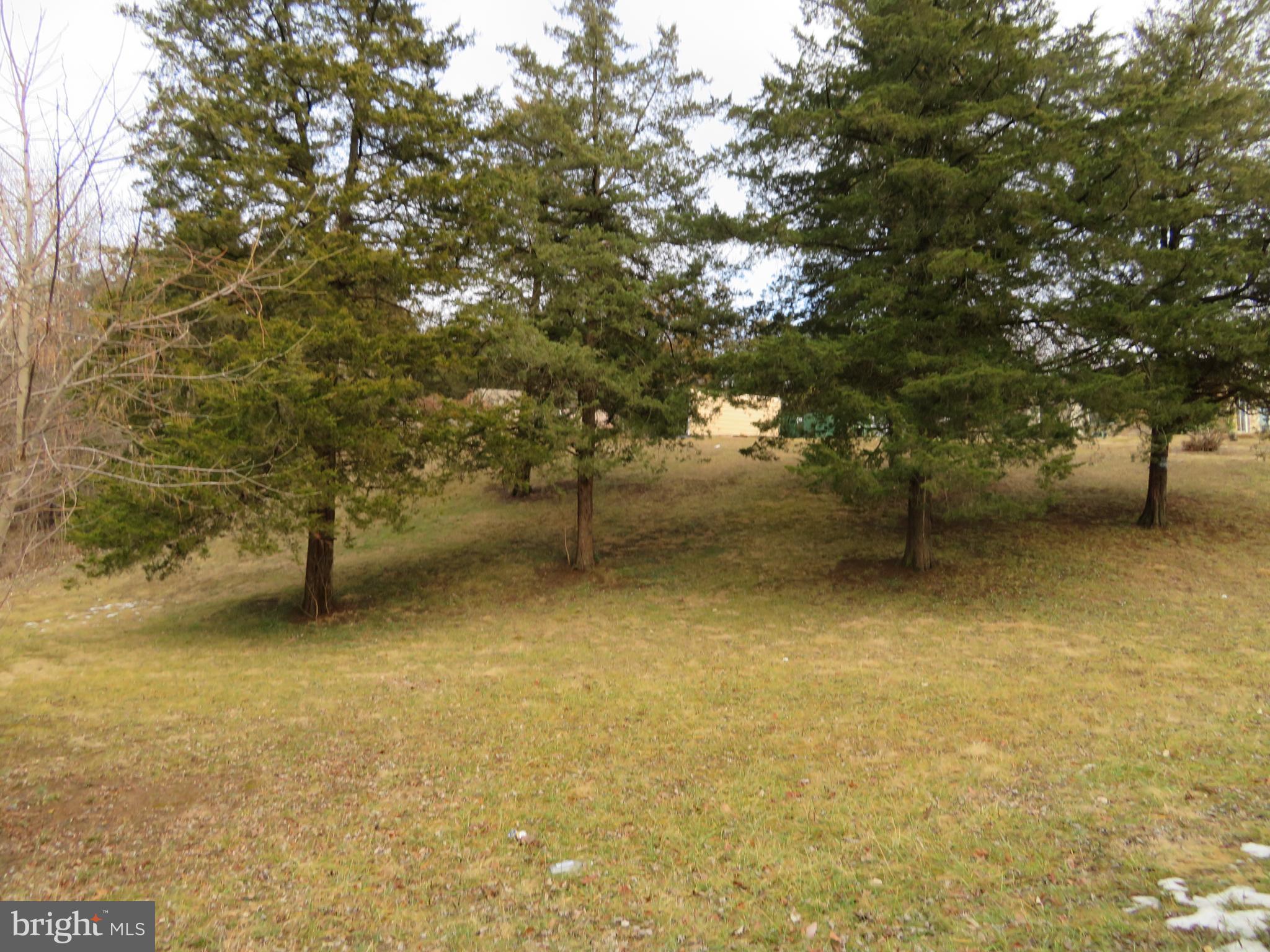 269 Crawford Quarry Road Falling Waters, WV 25419 - Photo 19 of 19 a view of outdoor space and yard