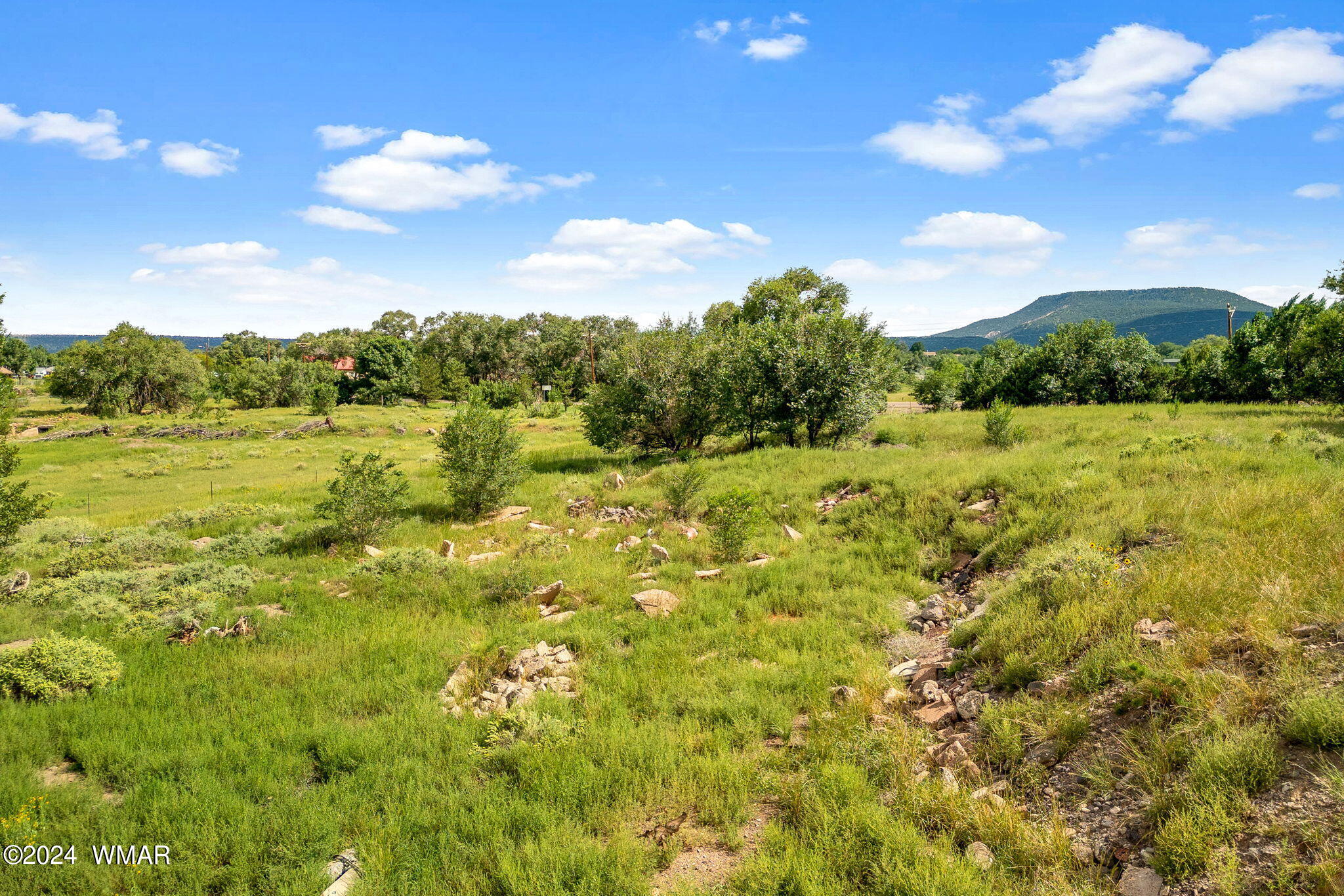 0 East Main Street Springerville, AZ 85938 - Photo 14 of 15 Parcel10520001K-Springerville-AZ-14