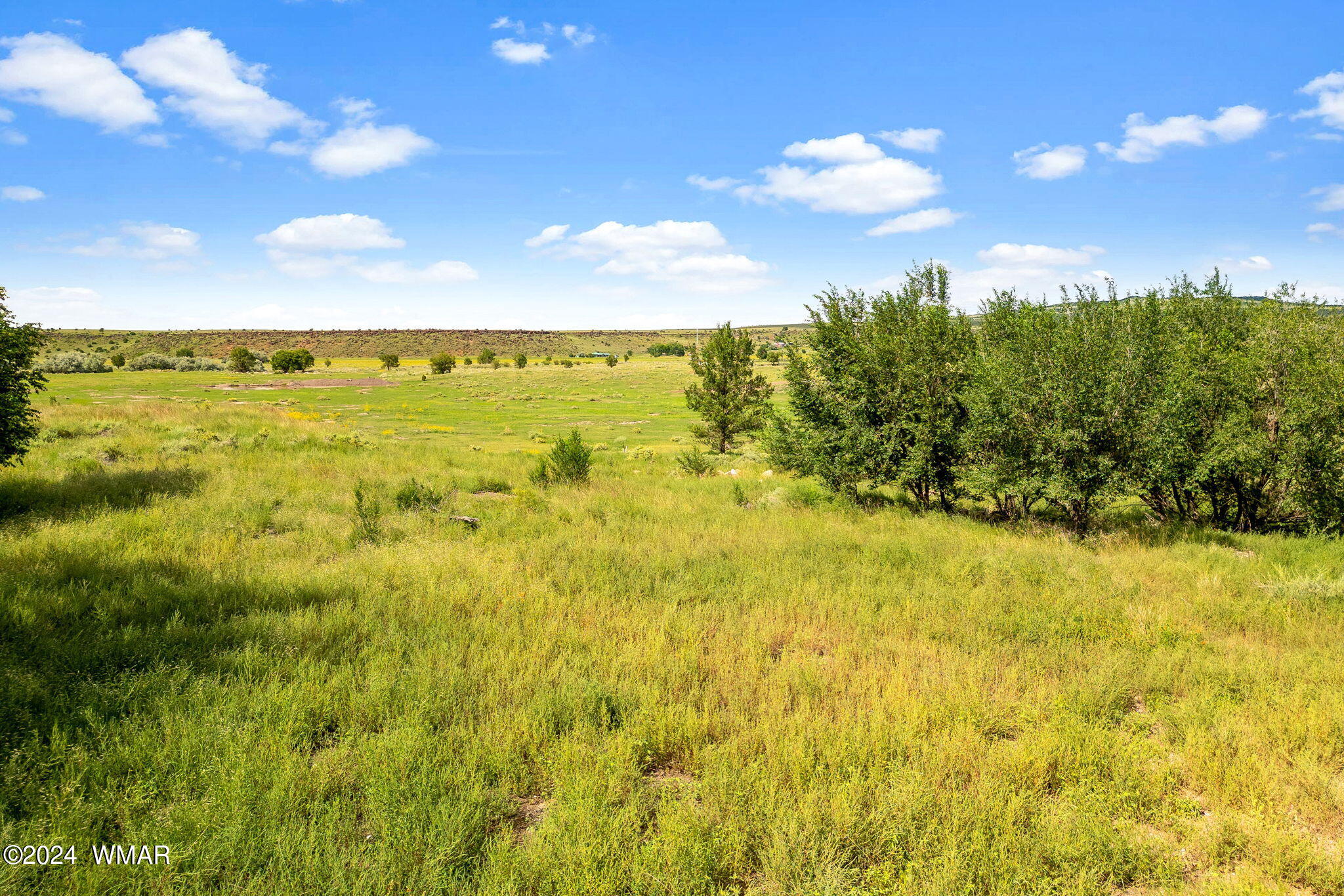 0 East Main Street Springerville, AZ 85938 - Photo 15 of 15 Parcel10520001K-Springerville-AZ-15