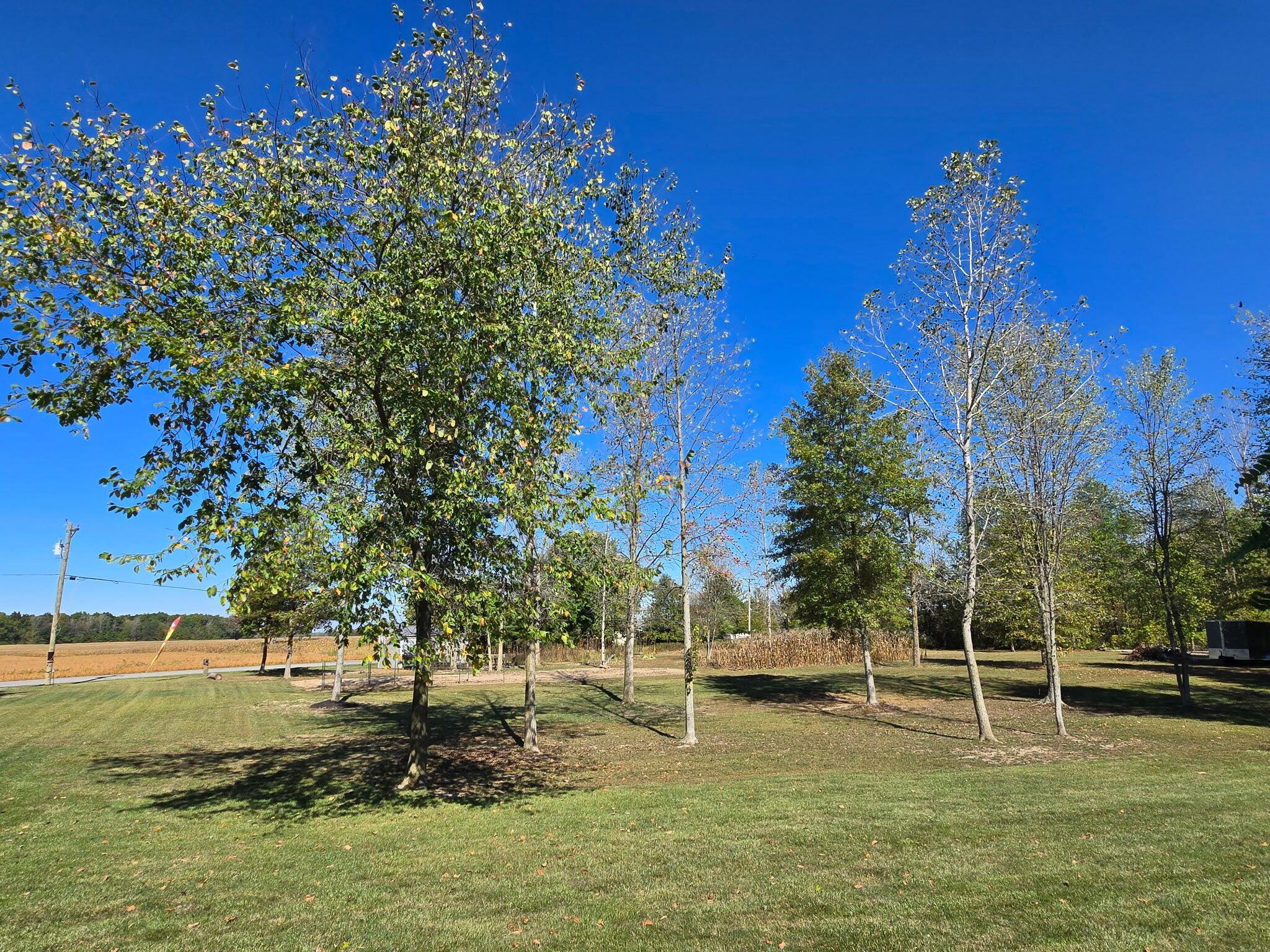 24805 Rapp-Dean Road Raymond, OH 43067 - Photo 65 of 74 Yard