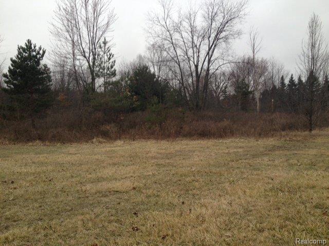 0 24 24 Mile Road Utica, MI 48315 - Photo 1 of 1 24 Mile, 0.jpg