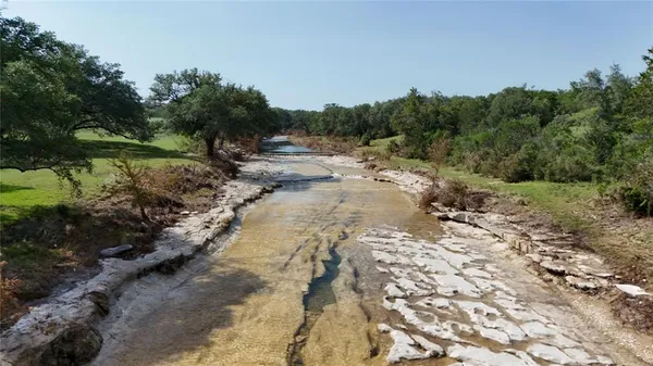 a view of a dry yard with trees and stairs