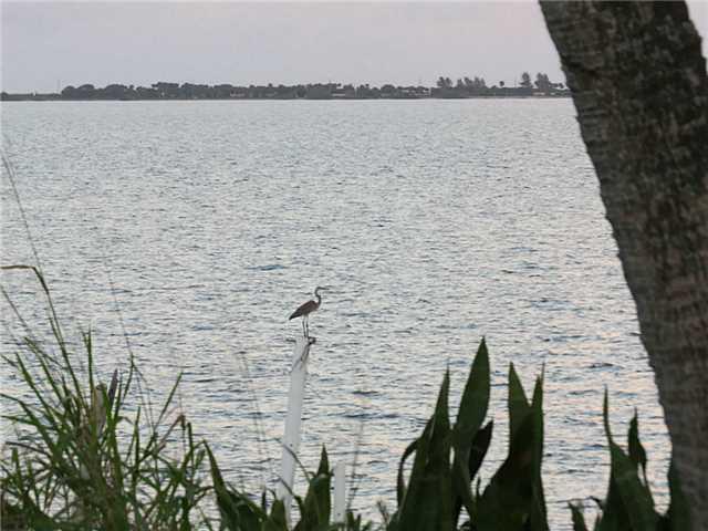 112 Harris Street Fort Pierce, FL 34982 - Photo 9 of 14 Gallery Image 9