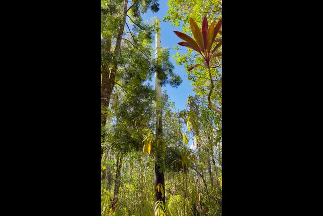 $308,000 | 16-1594 40th Avenue, Kurtistown, HI 96760