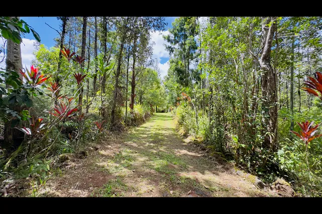 a view of outdoor space and garden