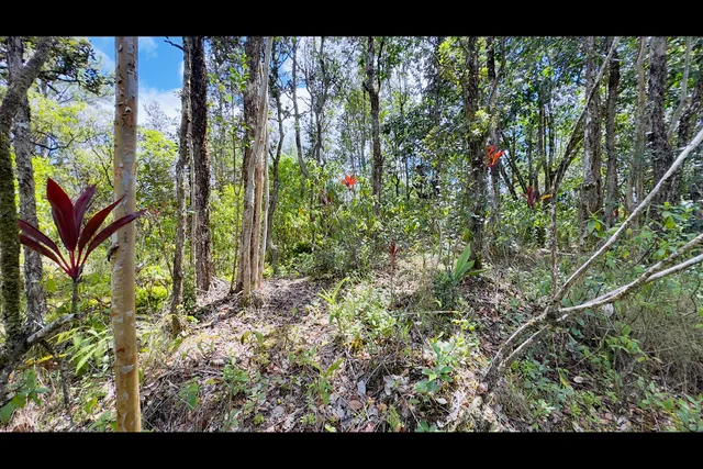 a view of swimming pool with lawn chairs and plants