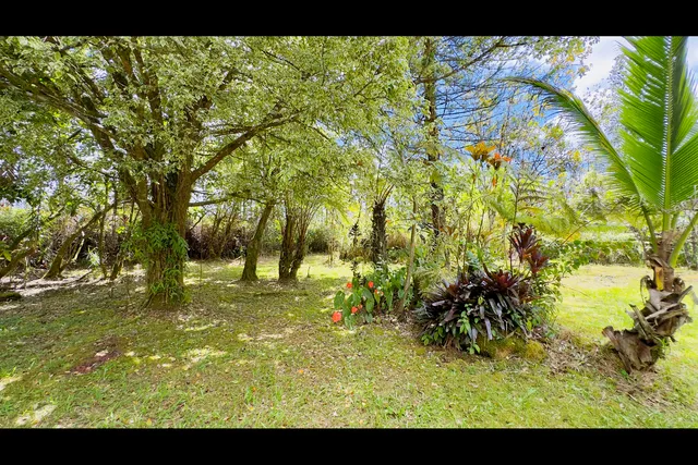 a view of outdoor space