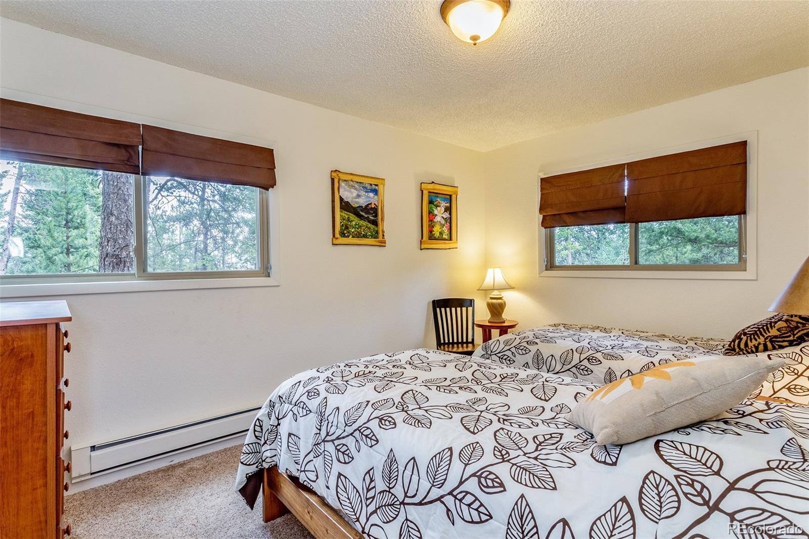 9470 South Warhawk Road Conifer, CO 80433 - Photo 18 of 31 Gallery Image 18