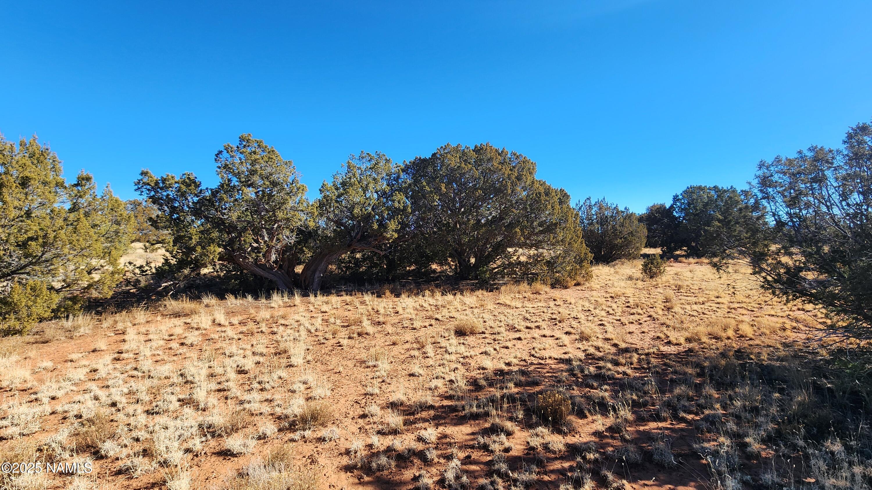3372 East Valencia Road Williams, AZ 86046 - Photo 6 of 34 1000023827