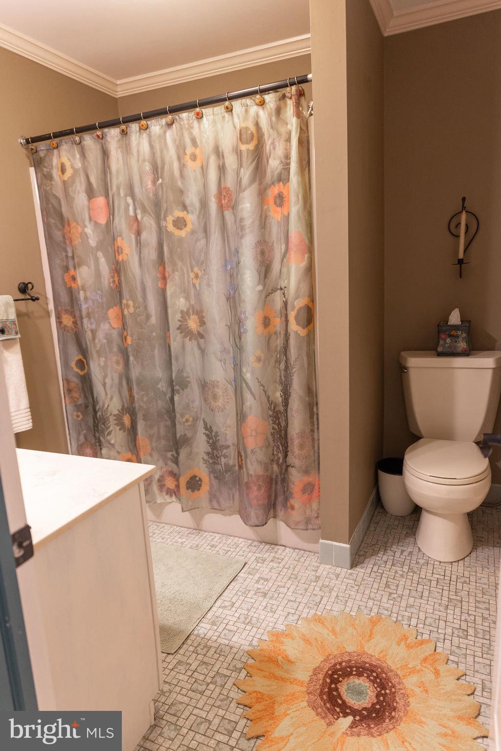 1609 Walton Road Blue Bell, PA 19422 - Photo 36 of 64 a bathroom with a toilet and a shower curtain