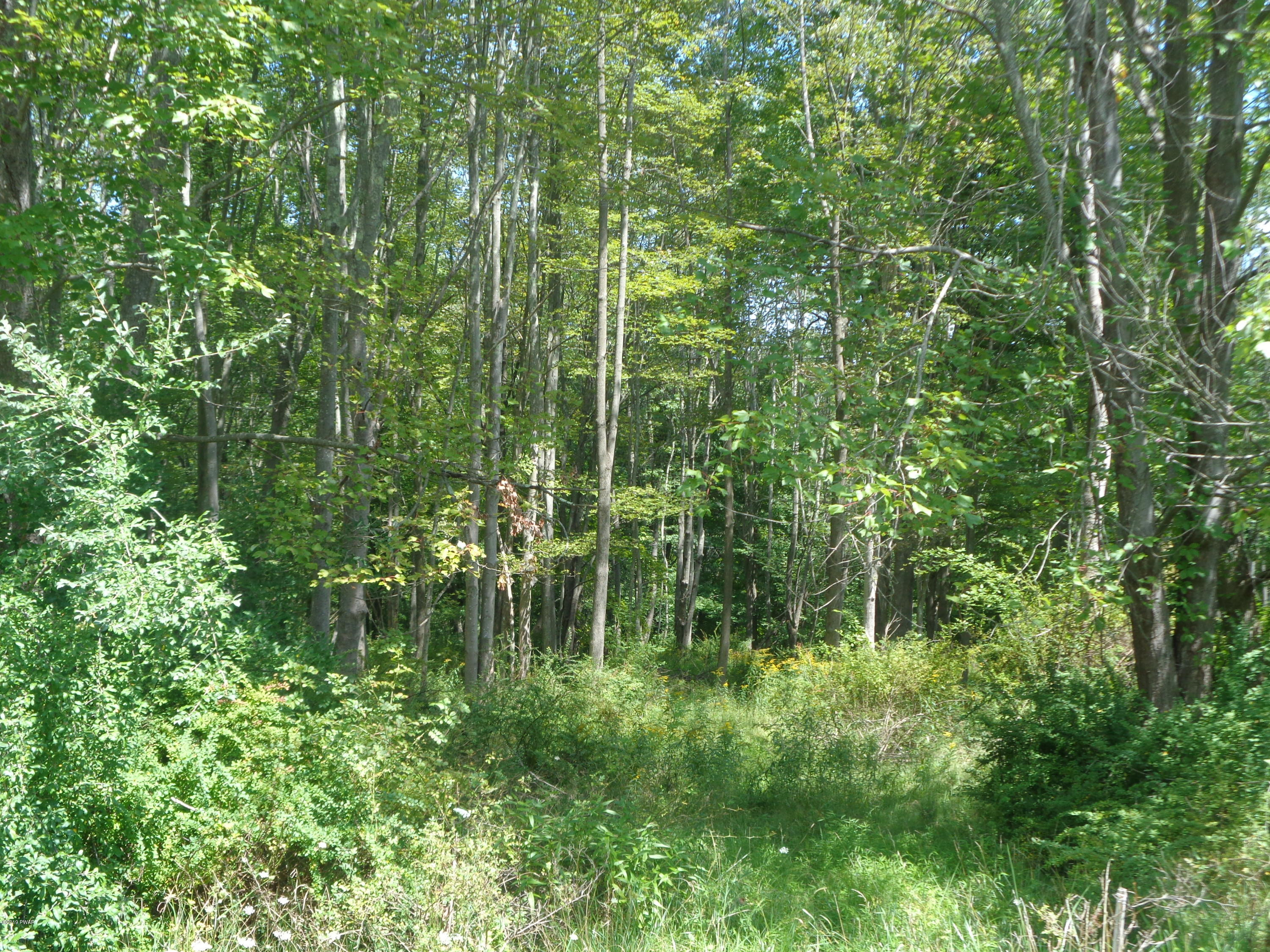 Lot #1 Club Road Shohola, PA 18458 - Photo 1 of 1