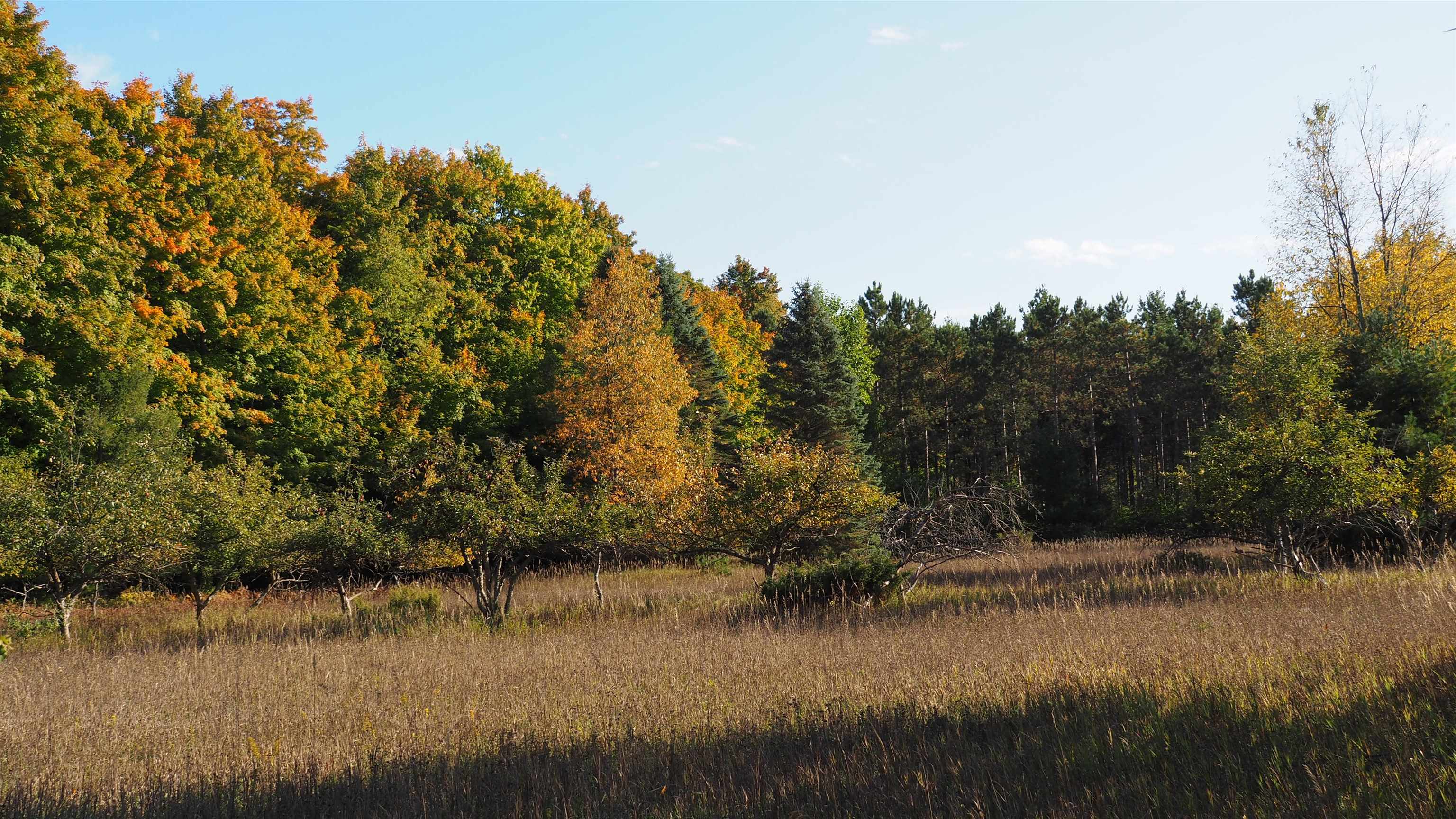 7478 Way Road Honor, MI 49640 - Photo 24 of 48 1905640-23.JPG