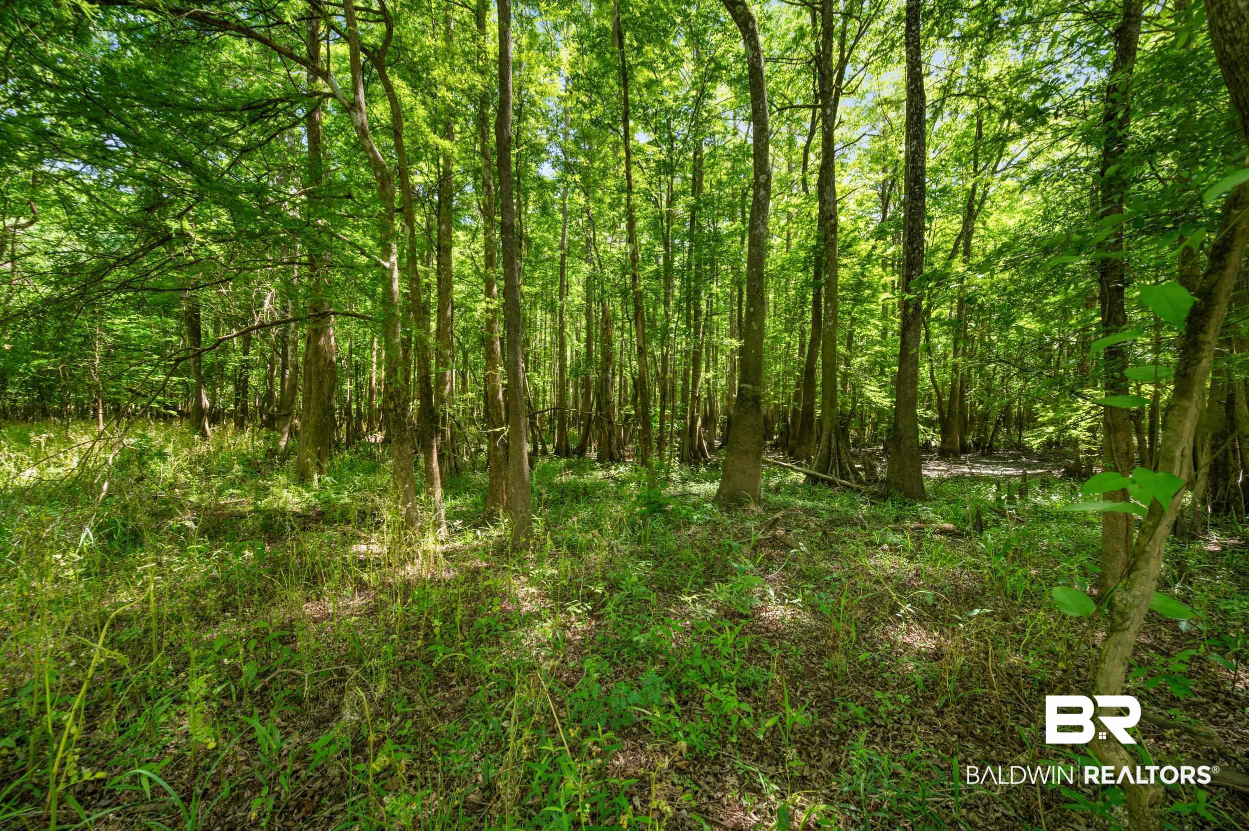 7895 Bryant's Lndg Road Stockton, AL 36579 - Photo 15 of 31