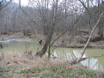 0 Southfork Road Owenton, KY 40359 - Photo 1 of 1 Gallery Image 1