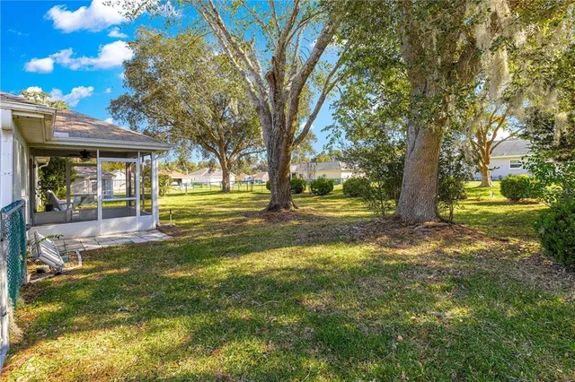 a view of a yard with plants and large trees