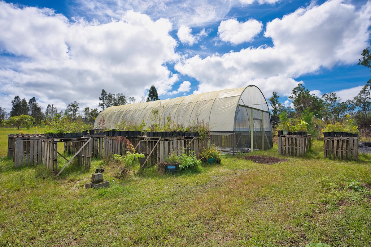 11-1984 Ohialani Road Mountain View, HI 96771 - Photo 10 of 19 a view of a garden