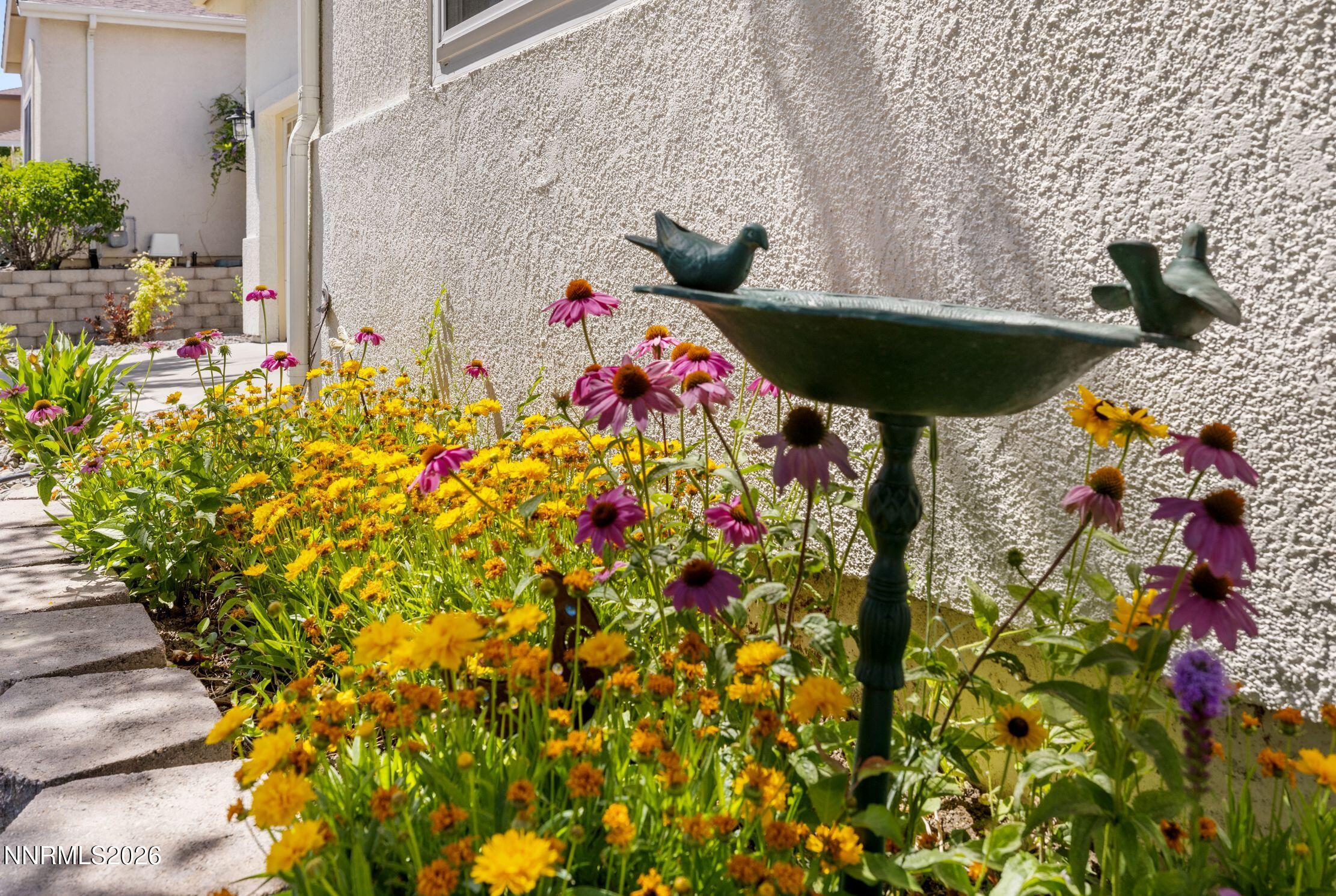 1064 Ridgefield Drive Carson City, NV 89706 - Photo 23 of 27 Front Flowers