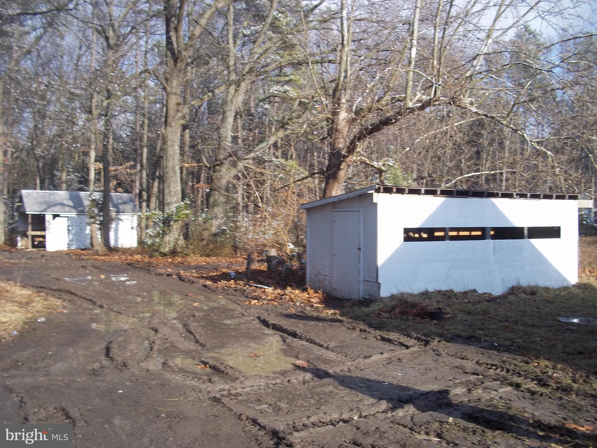 5707 Cassons Neck Road Cambridge, MD 21613 - Photo 14 of 16 Exterior (Rear)