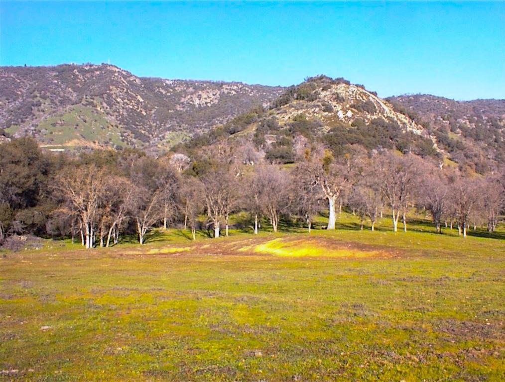 39950 Millwood Road Dunlap, CA 93621 - Photo 59 of 72 Gallery Image 59