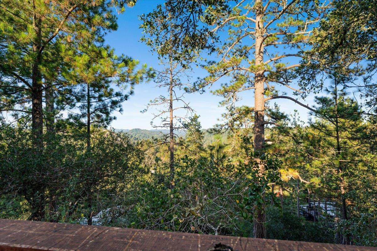 7409 Hihn Road Ben Lomond, CA 95005 - Photo 72 of 101