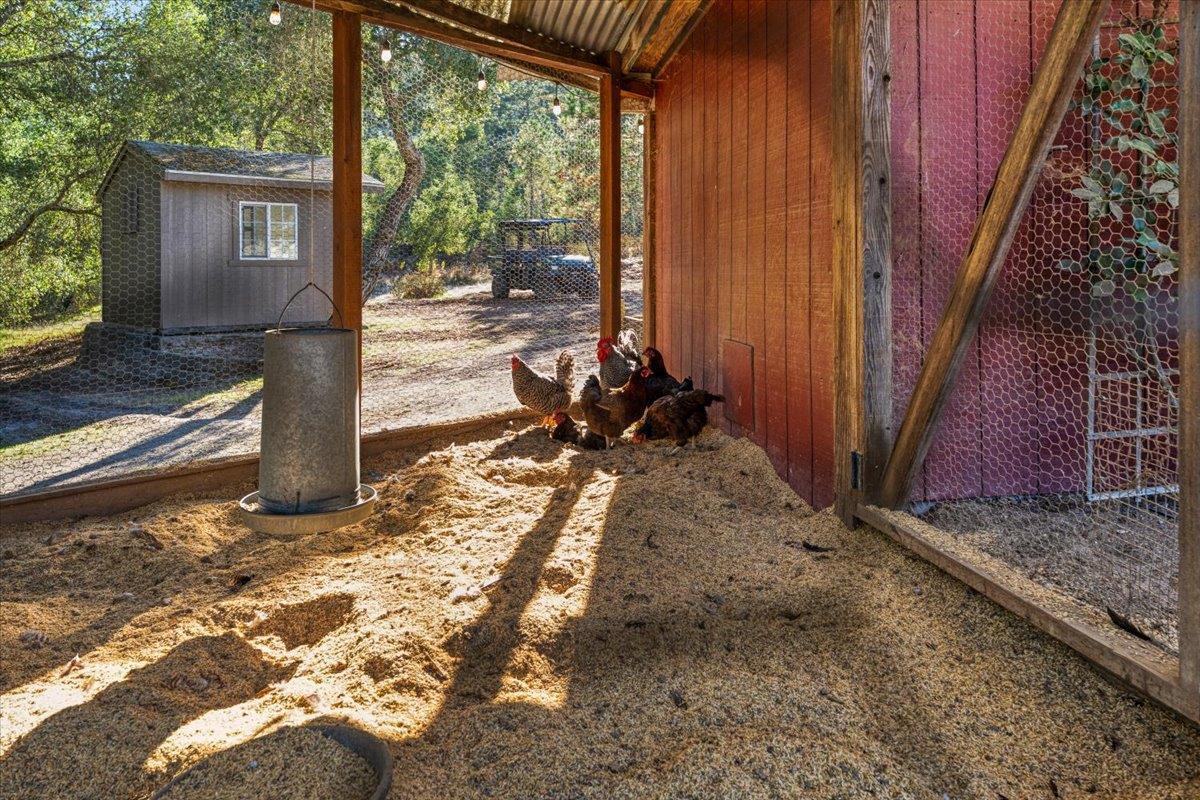 7409 Hihn Road Ben Lomond, CA 95005 - Photo 89 of 101
