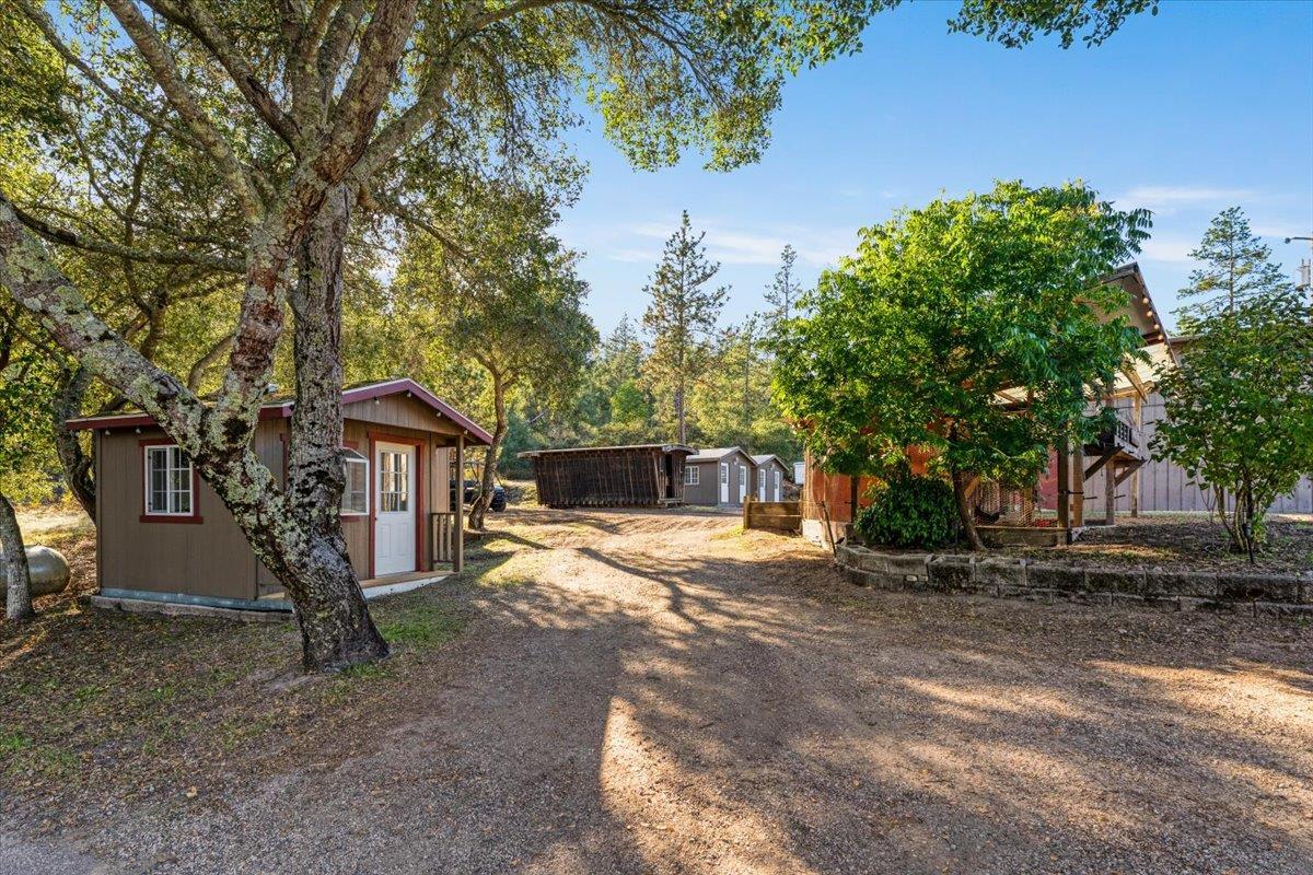 7409 Hihn Road Ben Lomond, CA 95005 - Photo 94 of 101 a view of a house with a yard and large tree