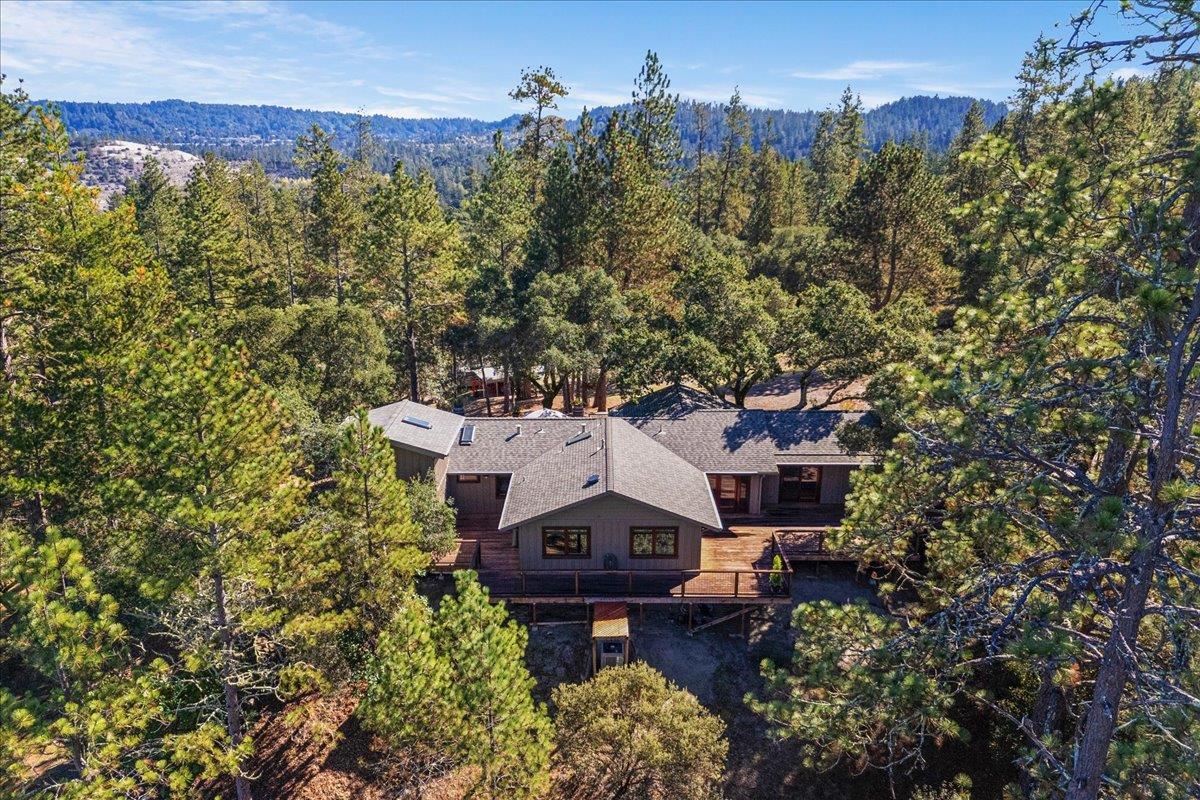 7409 Hihn Road Ben Lomond, CA 95005 - Photo 100 of 101 a aerial view of a house with a yard and a large tree