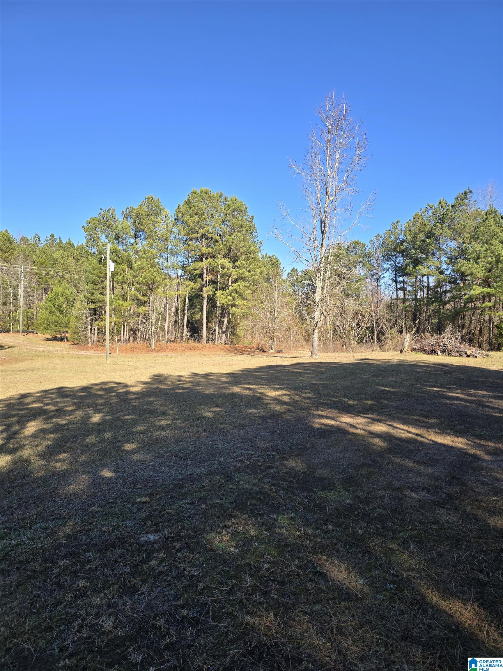 4850 Shoal Creek Road, Unit ACREAGE Ashville, AL 35953 - Photo 6 of 18