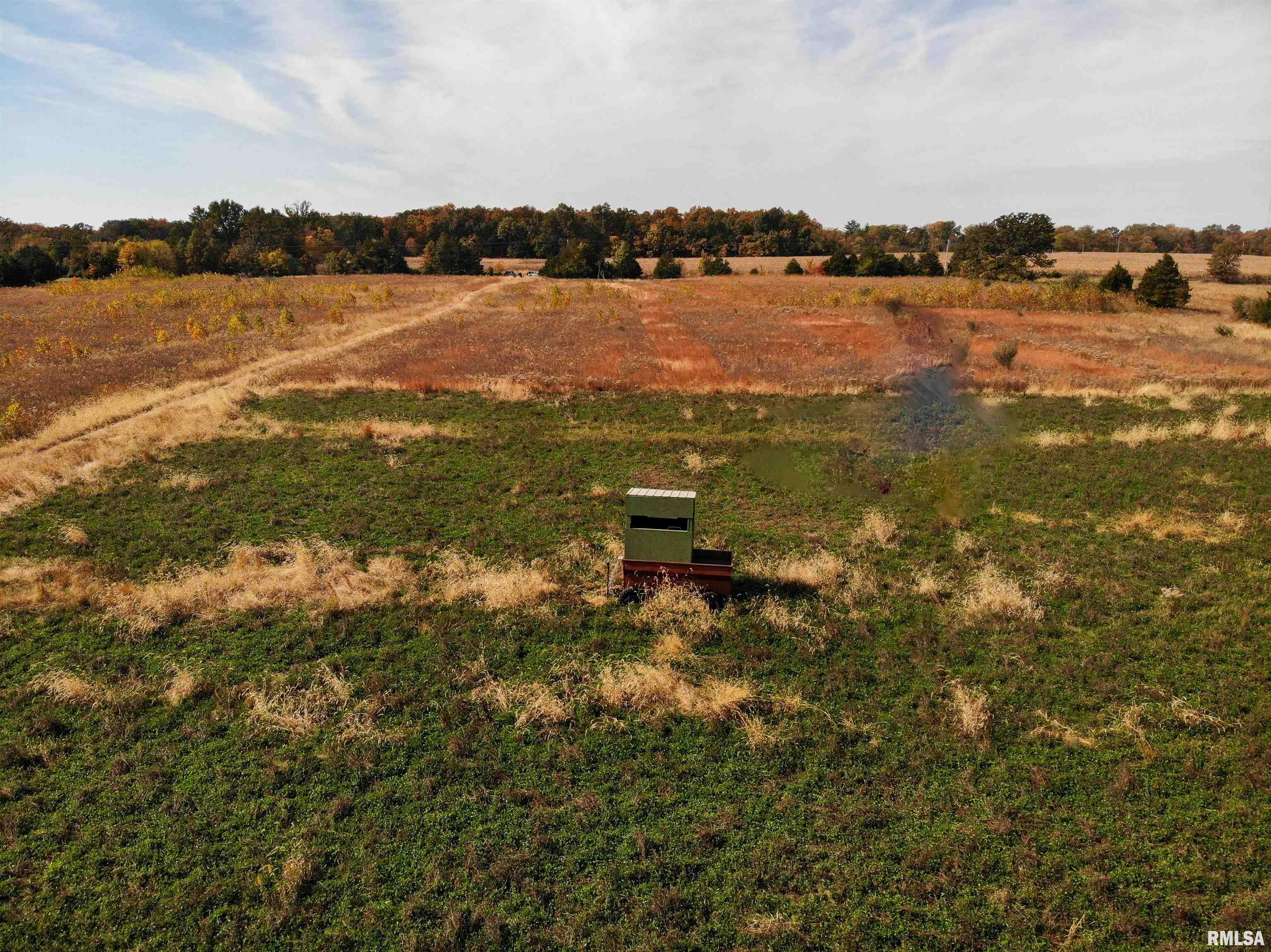 0 Branch Road Centralia, IL 62801 - Photo 7 of 13