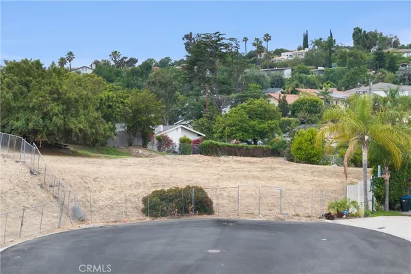 an outdoor view with plants and trees