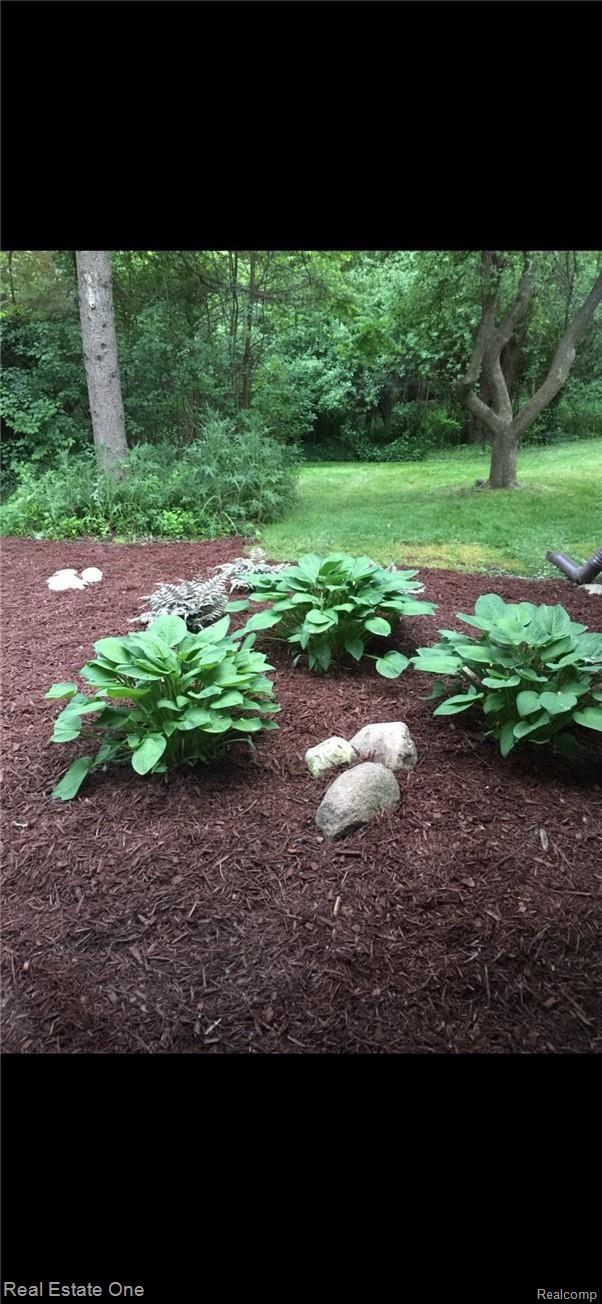 4879 Quarton Road Bloomfield Hills, MI 48301 - Photo 56 of 59 Yard.jpeg