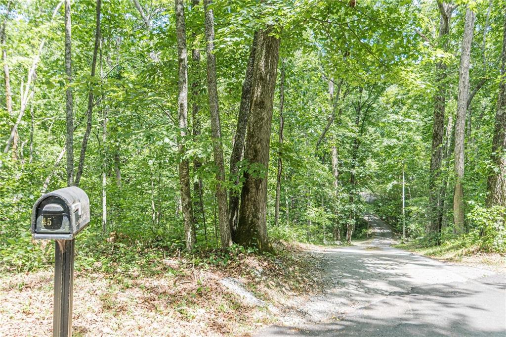 45 Chestatee River Ridge Dahlonega, GA 30533 - Photo 72 of 74 a front view of a house with a yard and garage
