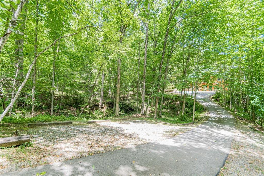 45 Chestatee River Ridge Dahlonega, GA 30533 - Photo 73 of 74 a backyard of a house with large trees and plants