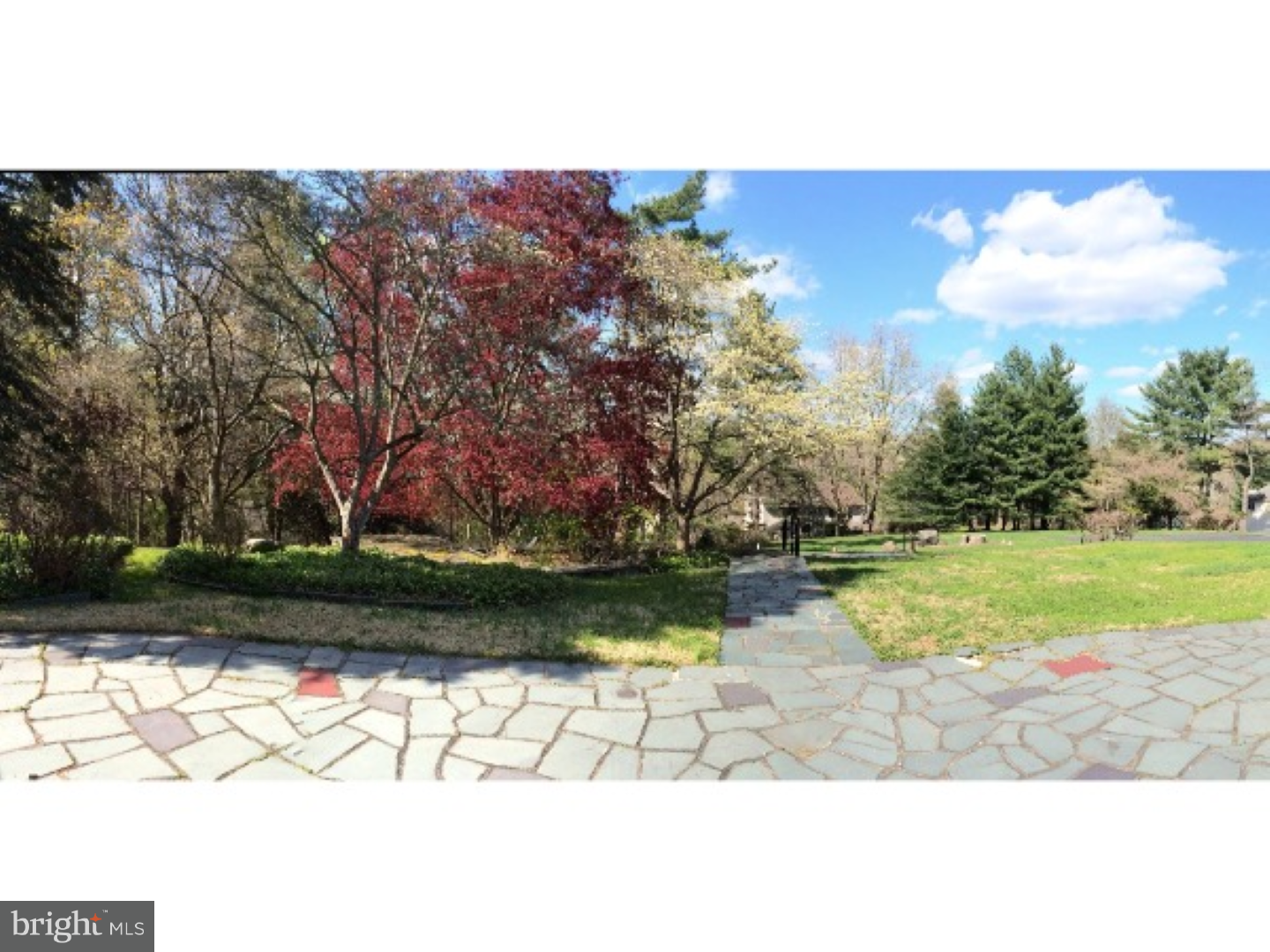 473 Marple Road Broomall, PA 19008 - Photo 6 of 25 Front Yard