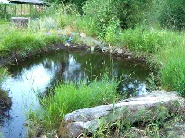 901 Sky Ranch Road Newport, WA 99156 - Photo 6 of 9 Gallery Image 6