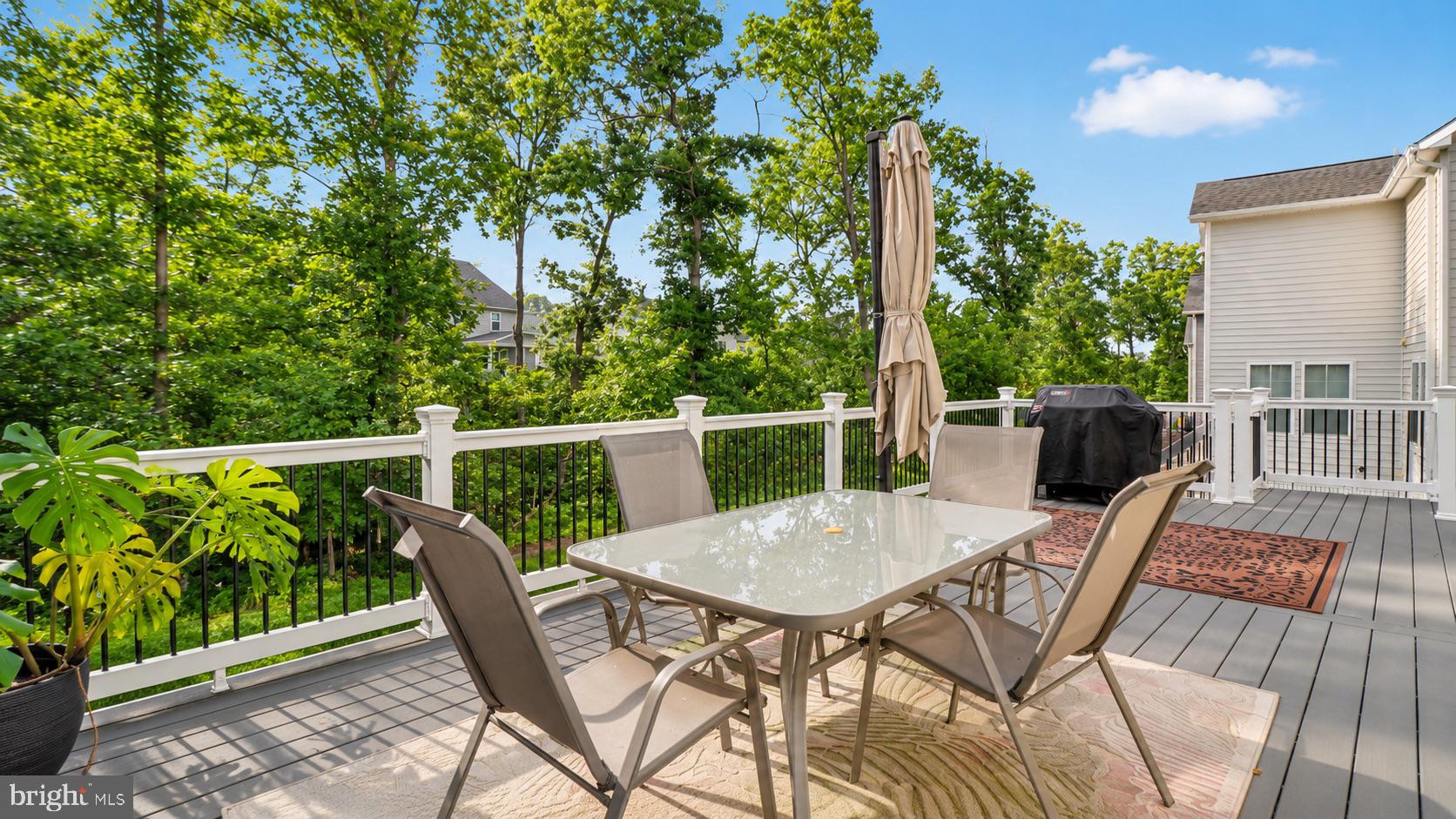 23609 Roselle Ridge Lane Aldie, VA 20105 - Photo 34 of 75 Serene deck amidst lush greenery.