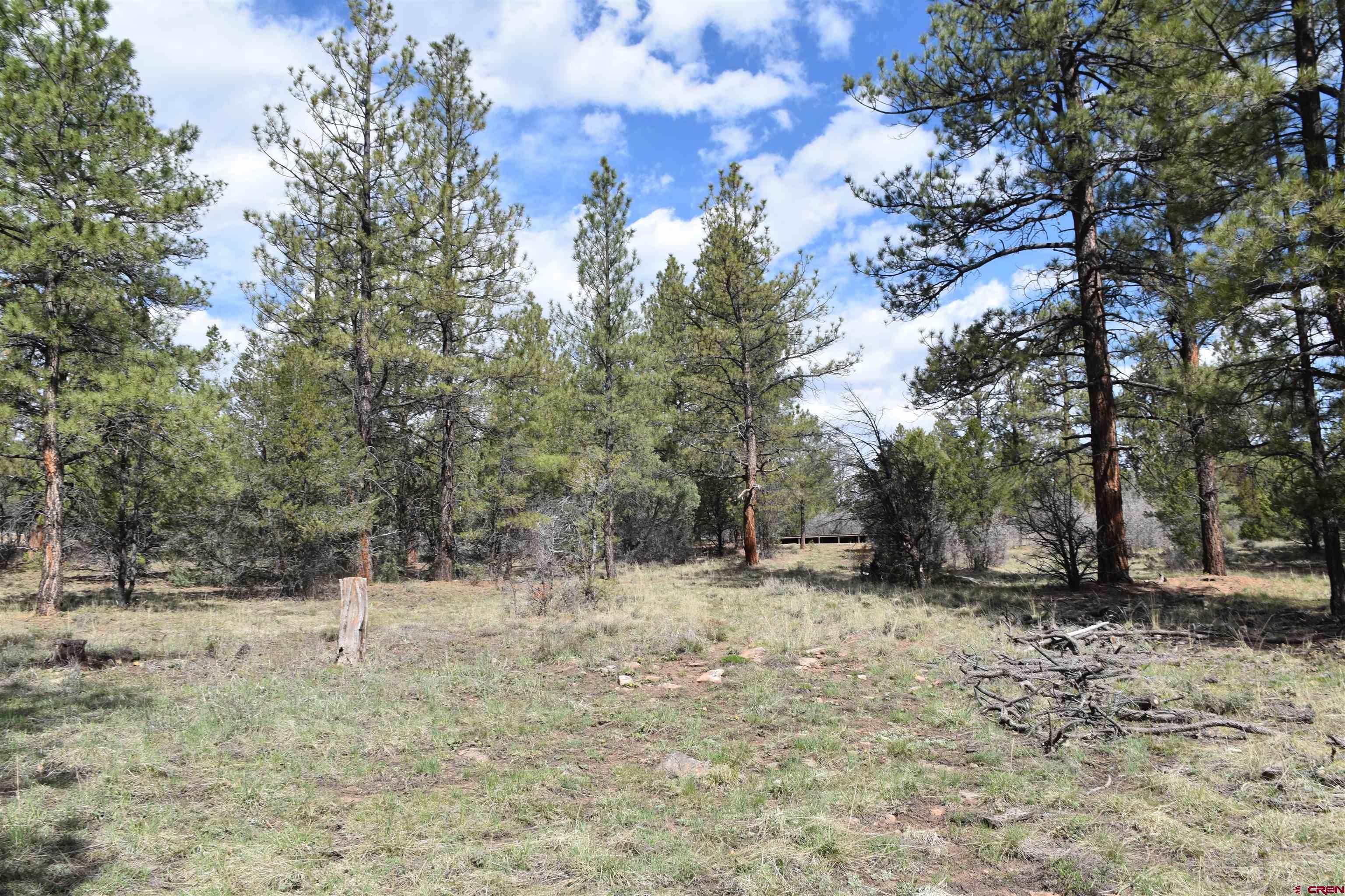 141 Big Canyon Point Ridgway, CO 81432 - Photo 12 of 31 a view of a covered with snow