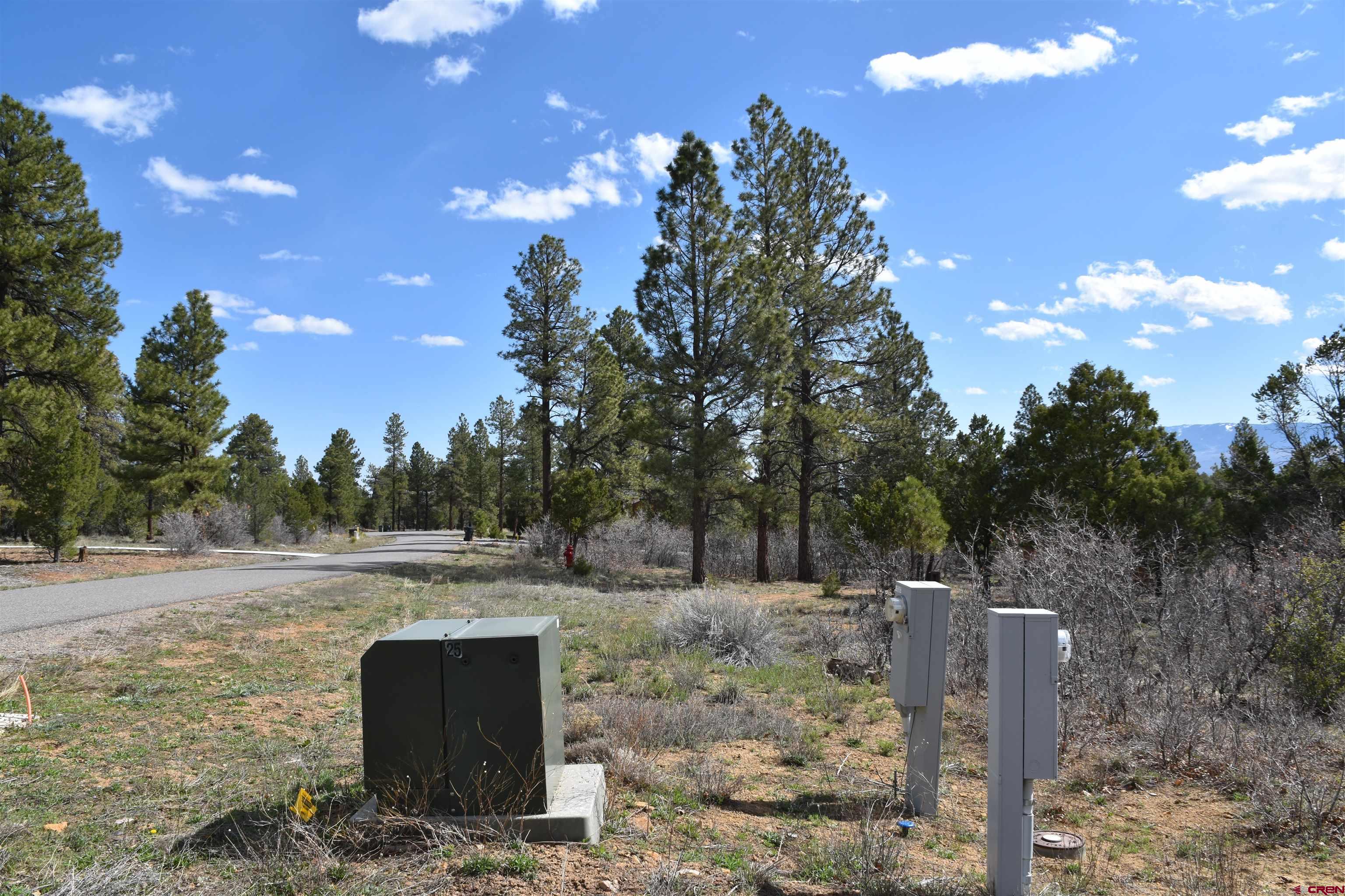 141 Big Canyon Point Ridgway, CO 81432 - Photo 13 of 31 a view of a yard with an trees