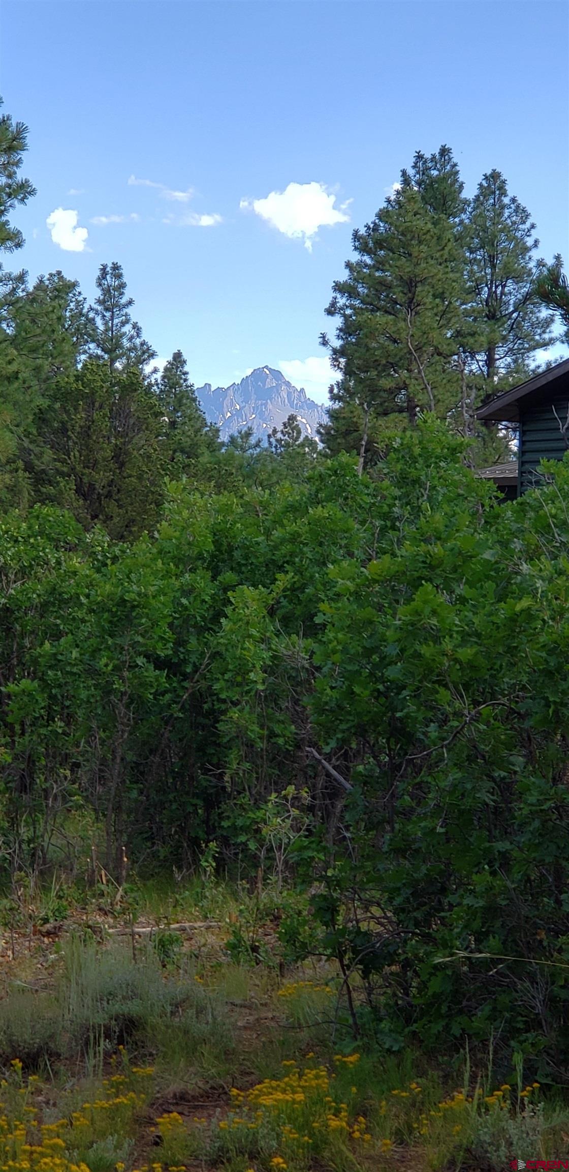 141 Big Canyon Point Ridgway, CO 81432 - Photo 15 of 31 a view of a lake with a mountain in the background