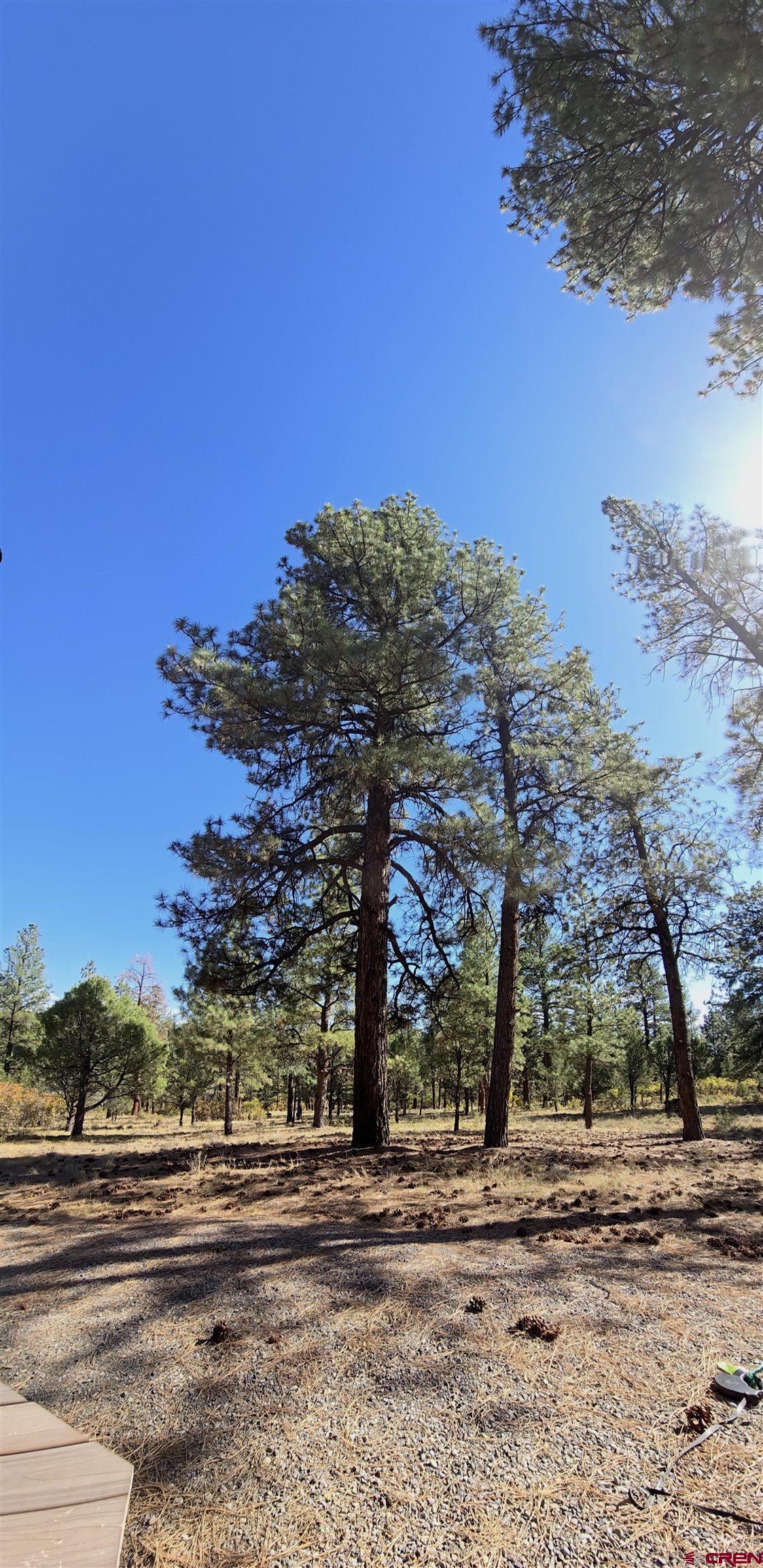 141 Big Canyon Point Ridgway, CO 81432 - Photo 16 of 31 a view of city view