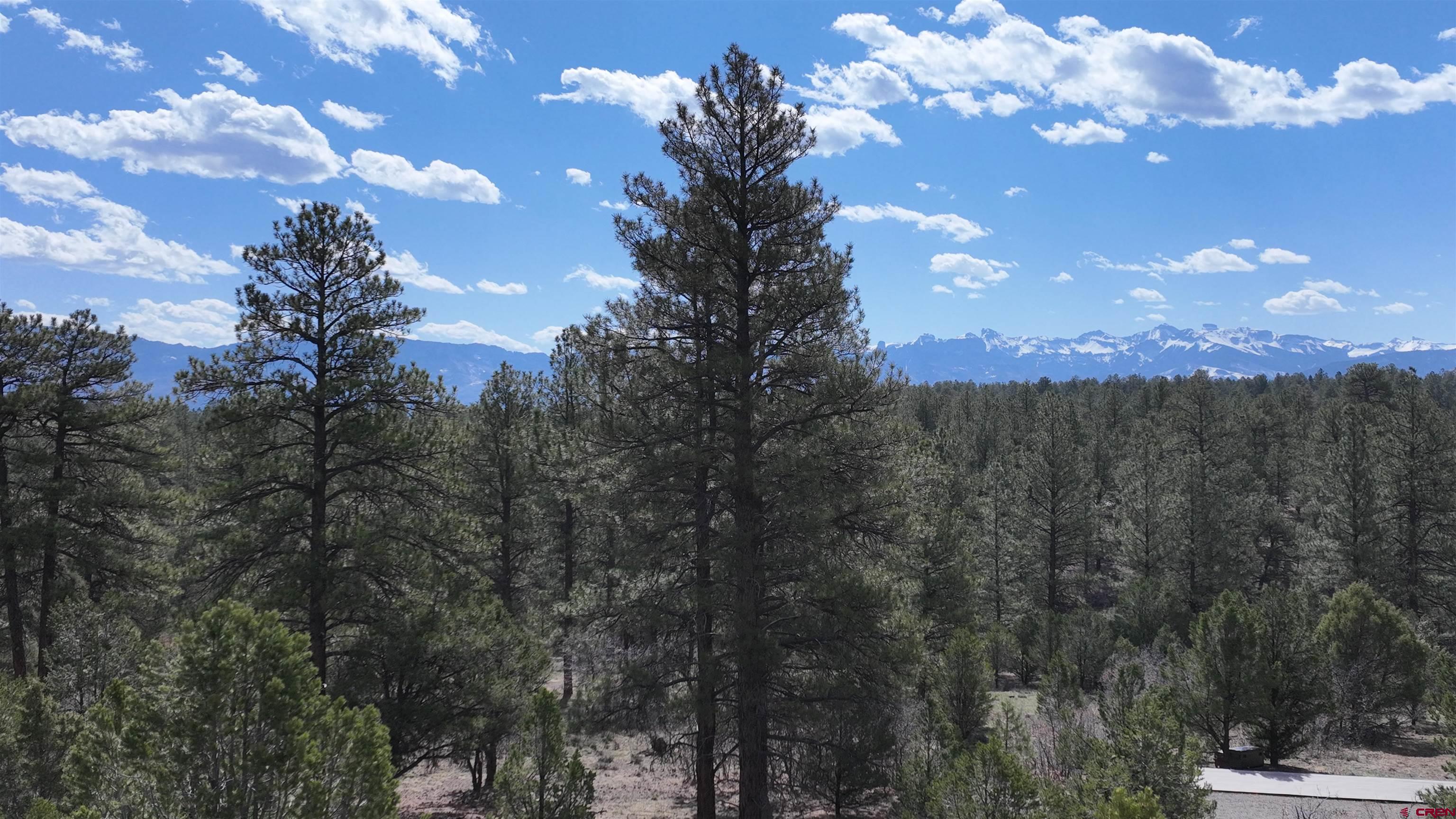 141 Big Canyon Point Ridgway, CO 81432 - Photo 19 of 31 a view of a city with lots of trees