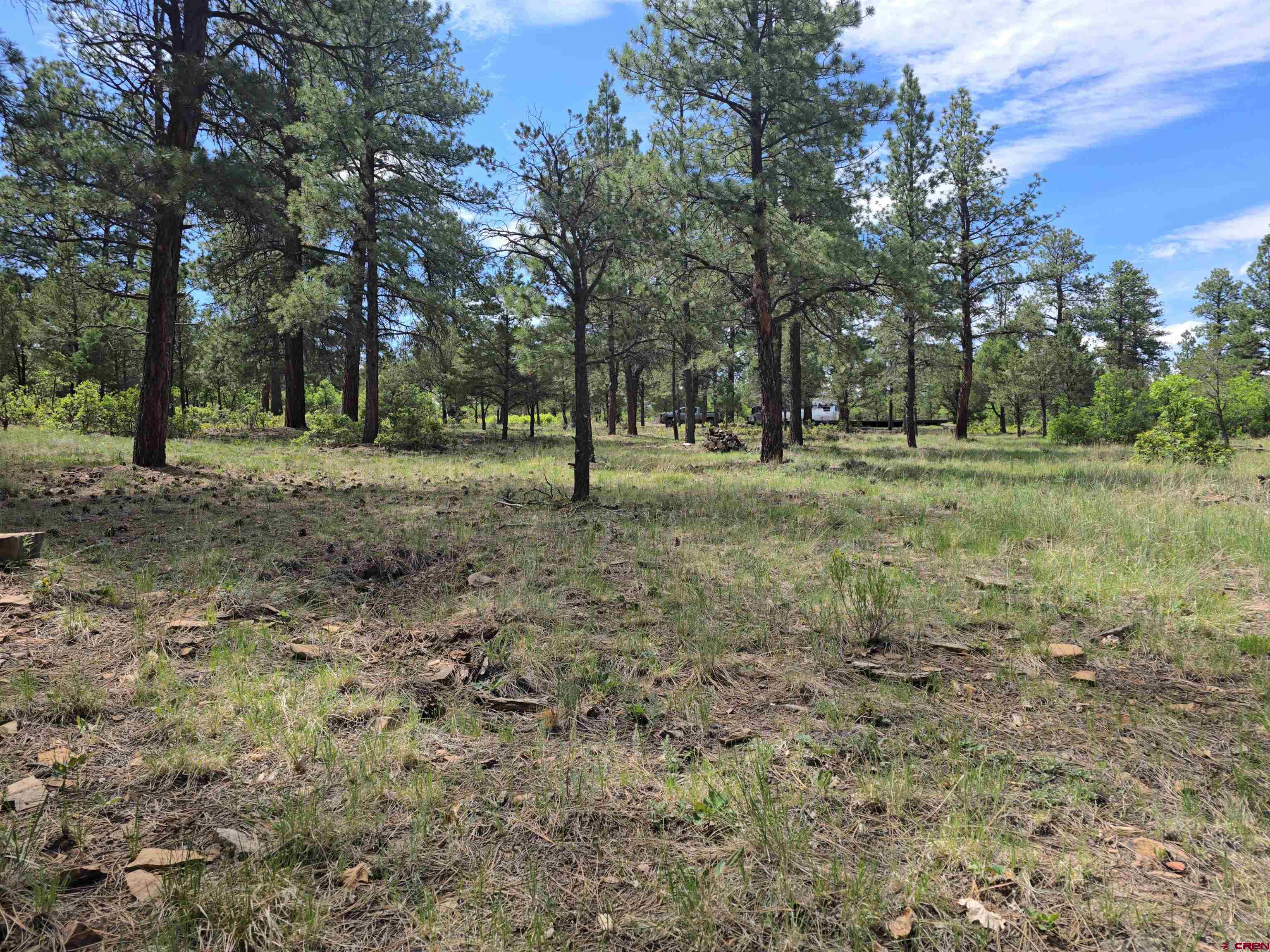 141 Big Canyon Point Ridgway, CO 81432 - Photo 2 of 31 a view of outdoor space with trees