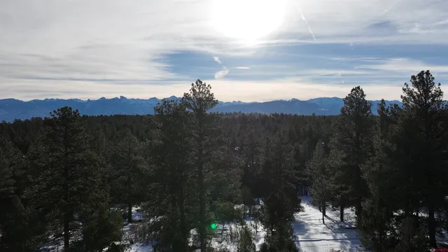 a view of a wooden door