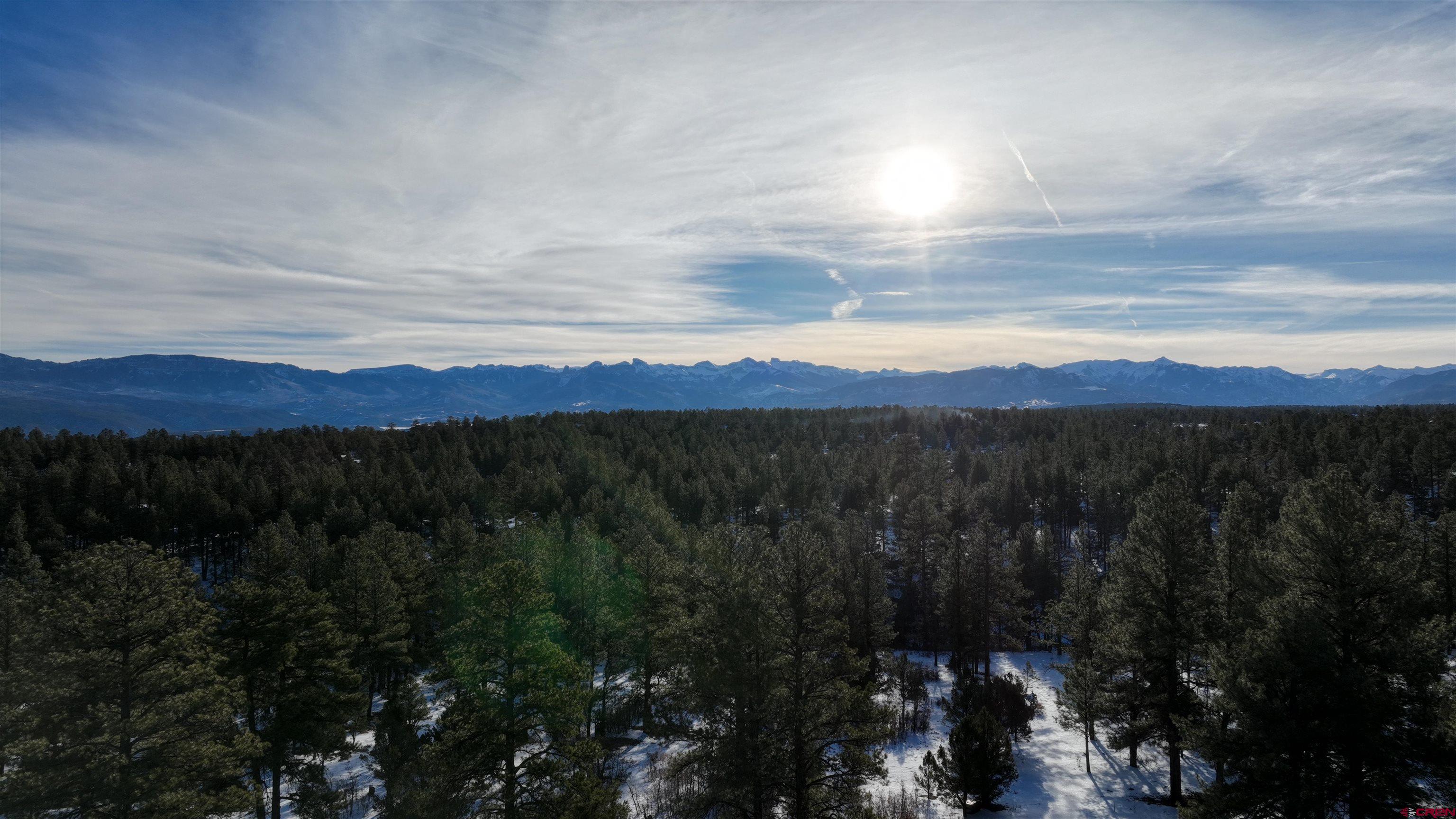 141 Big Canyon Point Ridgway, CO 81432 - Photo 25 of 31 a view of a city