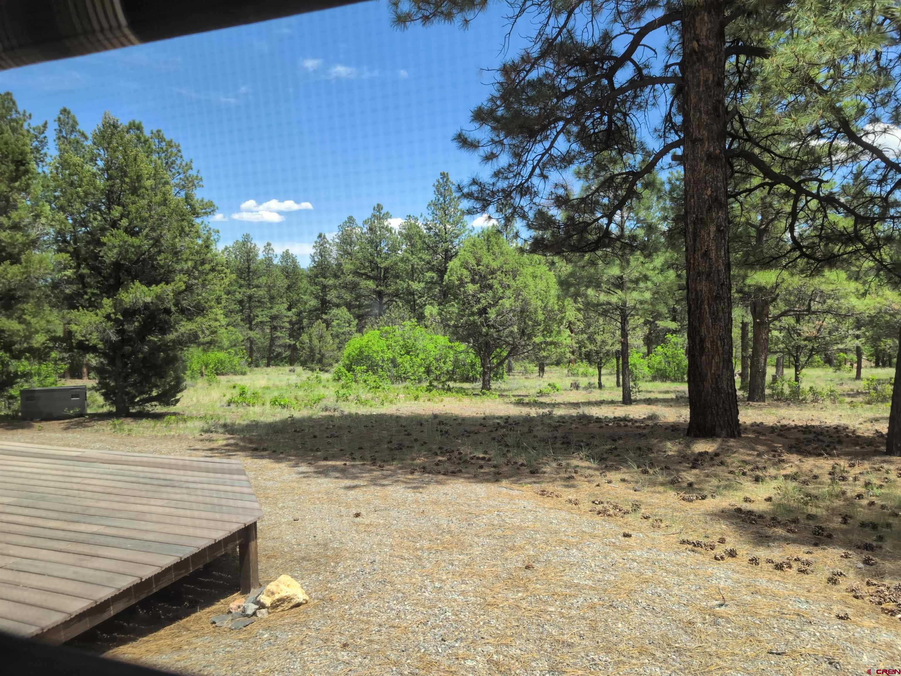 141 Big Canyon Point Ridgway, CO 81432 - Photo 26 of 31 a view of a yard with trees