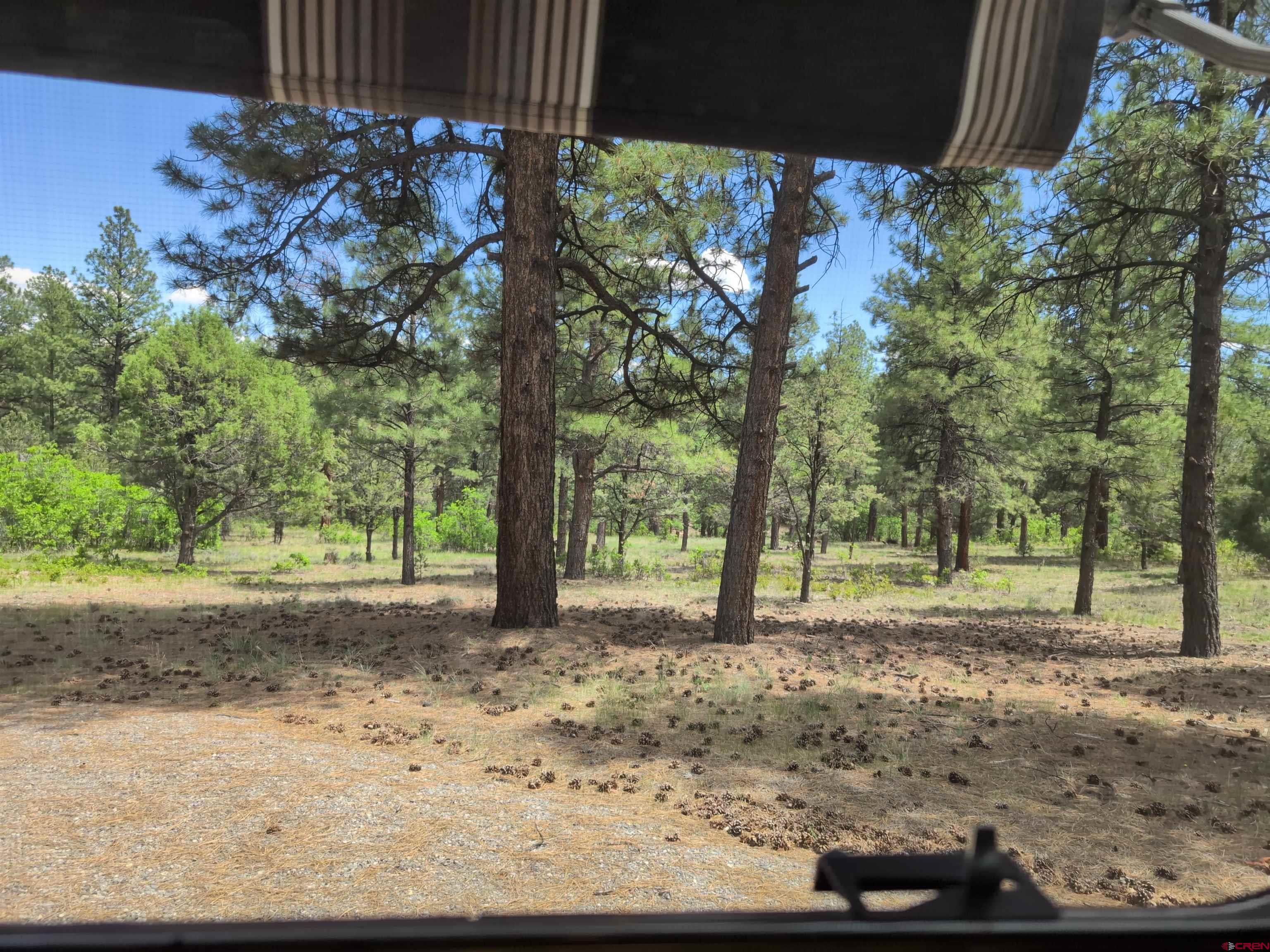 141 Big Canyon Point Ridgway, CO 81432 - Photo 27 of 31 a view of a yard with tree s