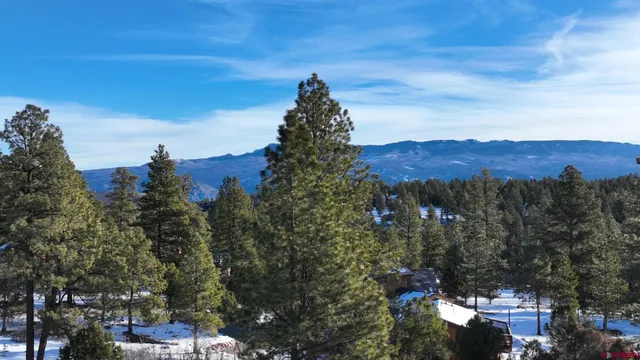 $289,000 | 141 Big Canyon Point, Ridgway, CO 81432