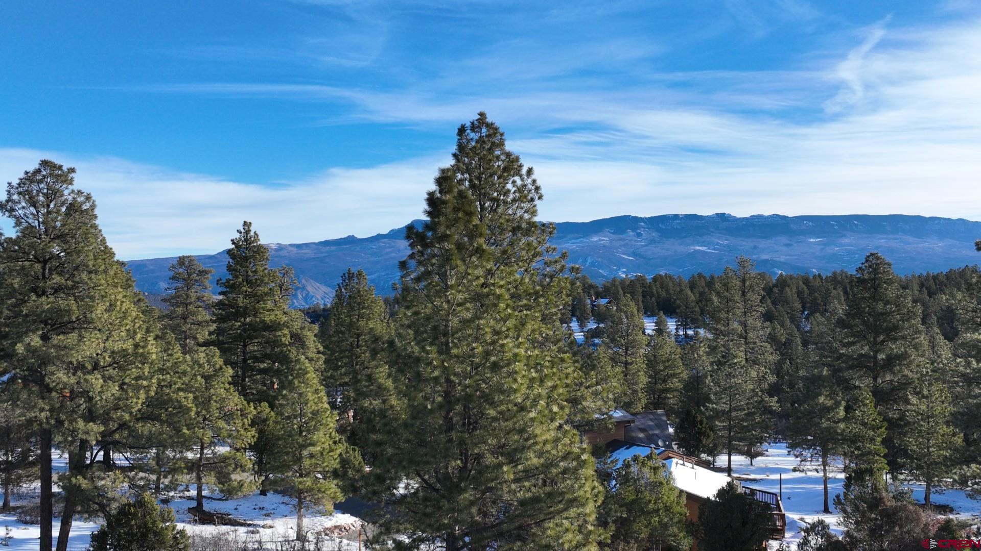 141 Big Canyon Point Ridgway, CO 81432 - Photo 29 of 31 a view of a city