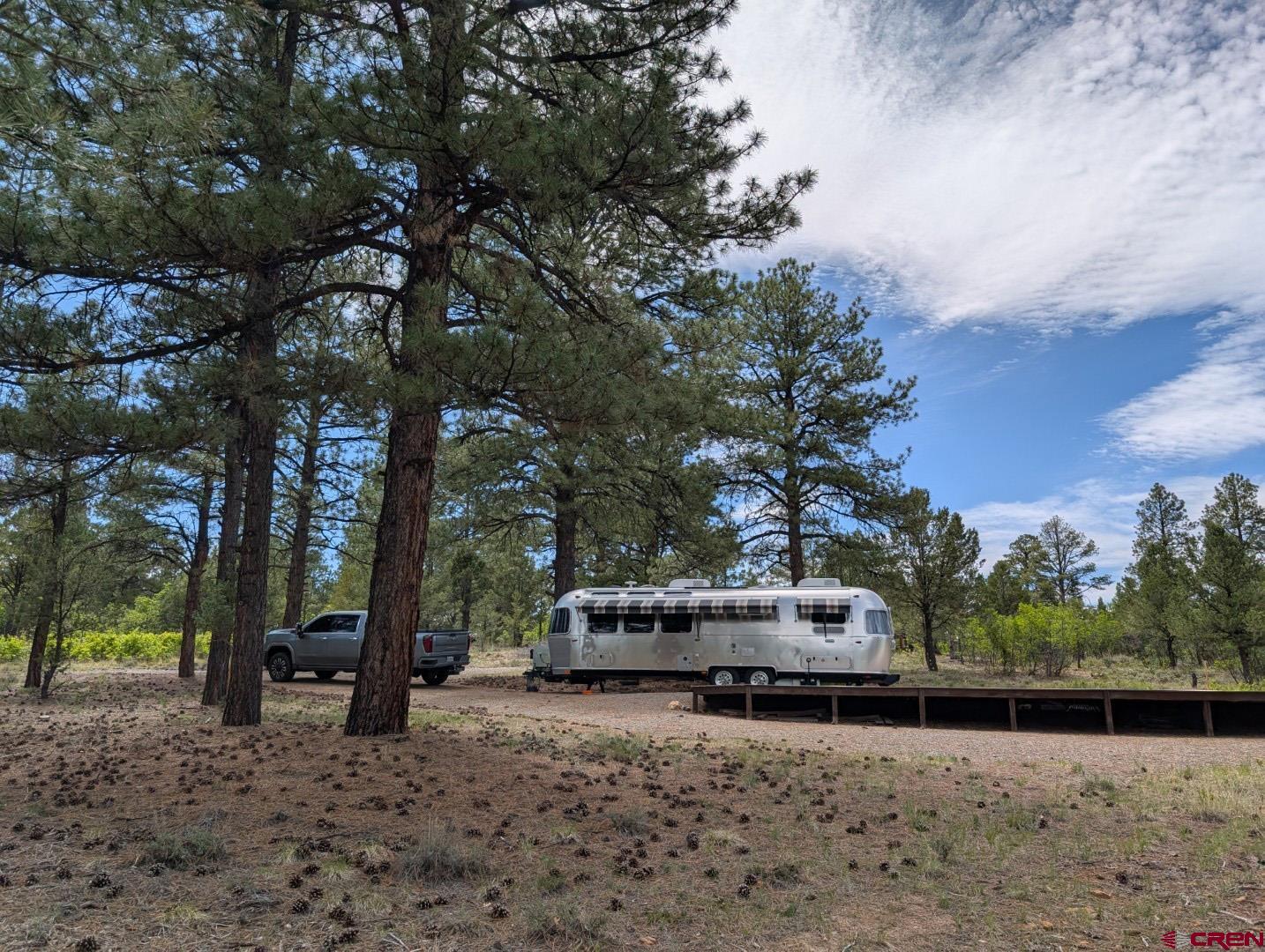 141 Big Canyon Point Ridgway, CO 81432 - Photo 31 of 31 a white house covered with tall trees