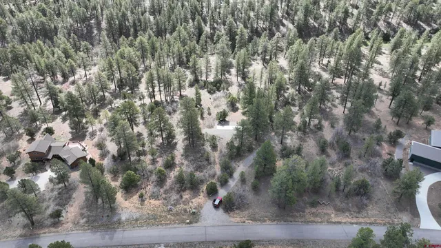 a view of backyard with wooden fence